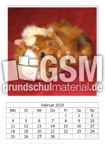 Februar_Meerschweinchen.pdf